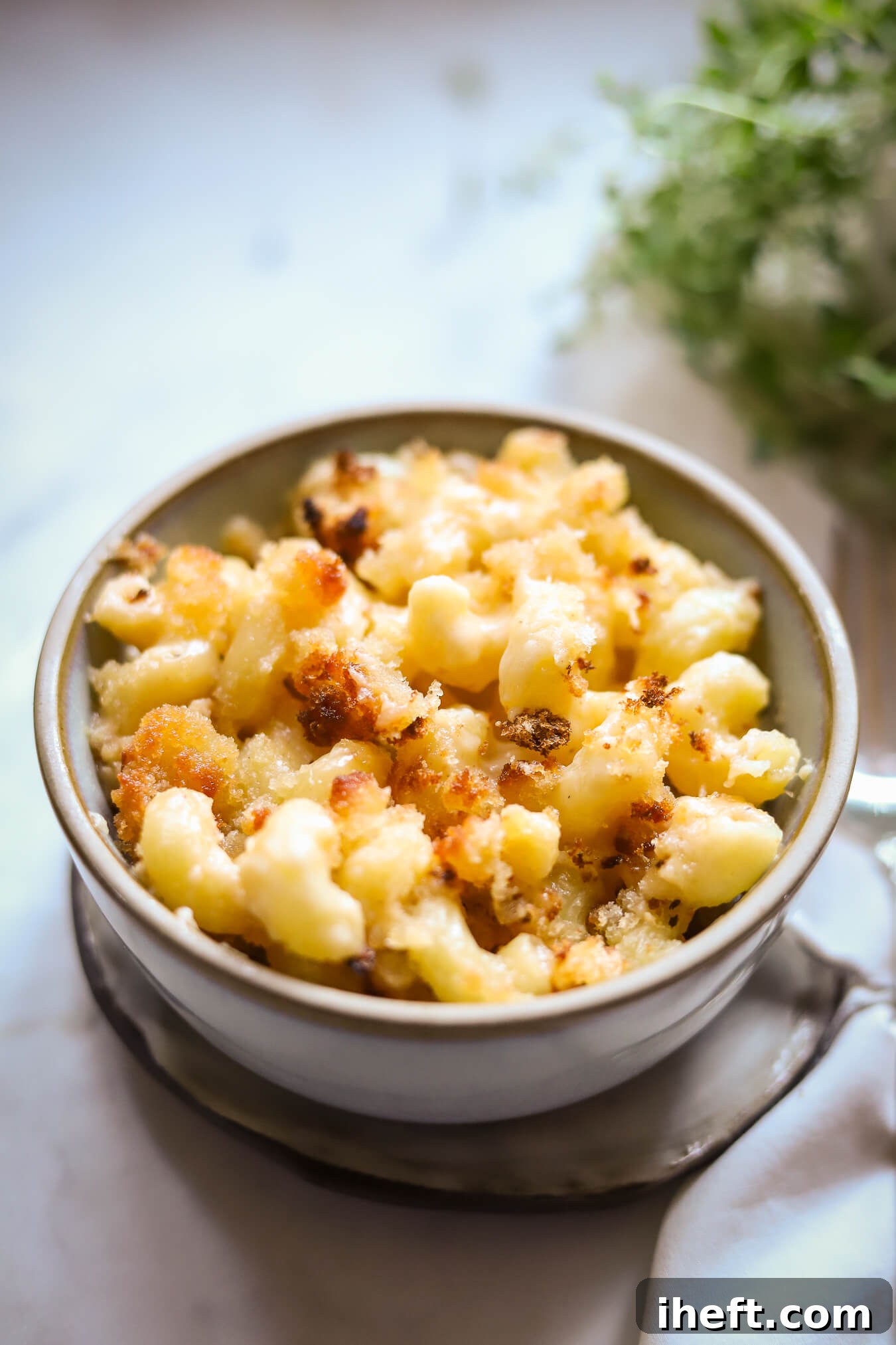 A grey ceramic bowl filled with baked mac and cheese with crispy bread crumb topping. 