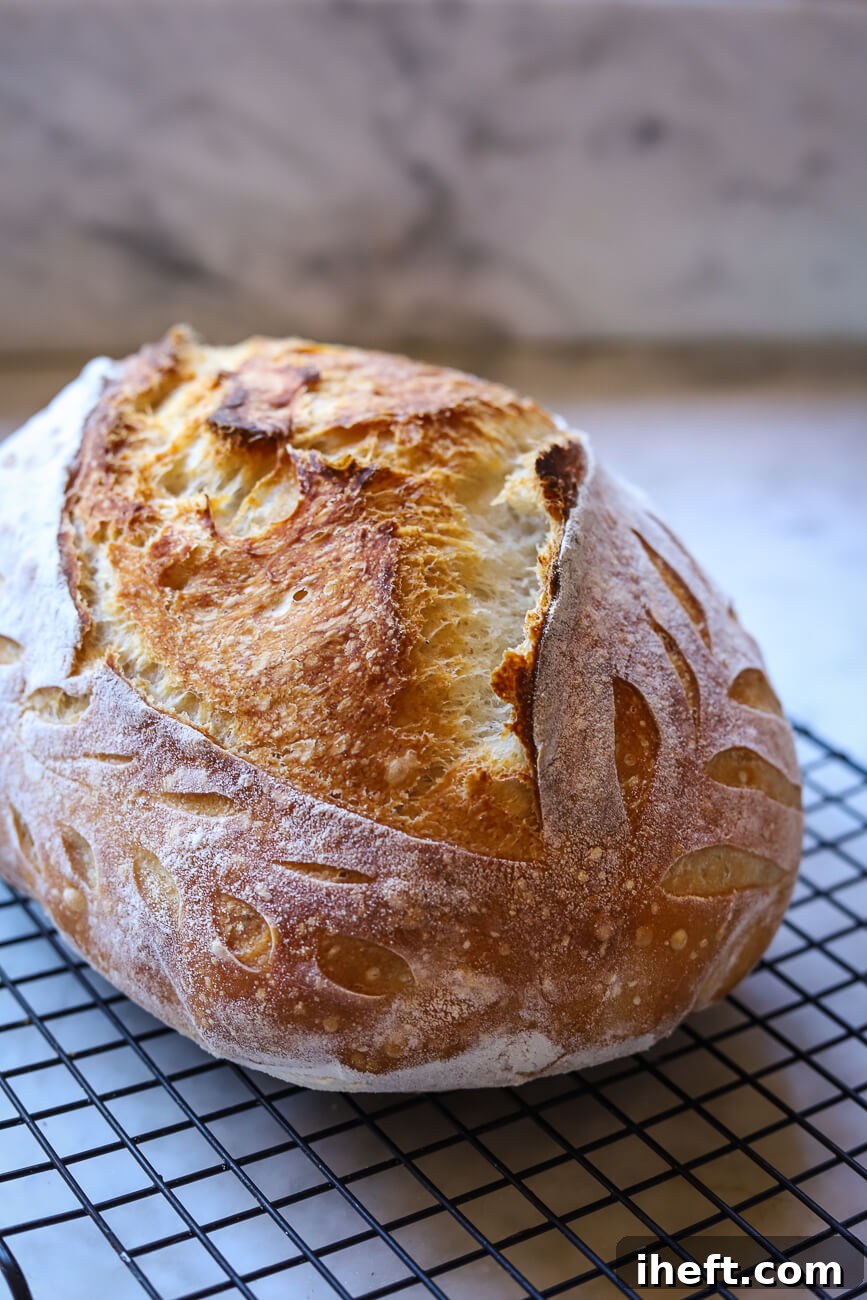 A beautiful homemade sourdough bread on a cooling rack on a marble counter.