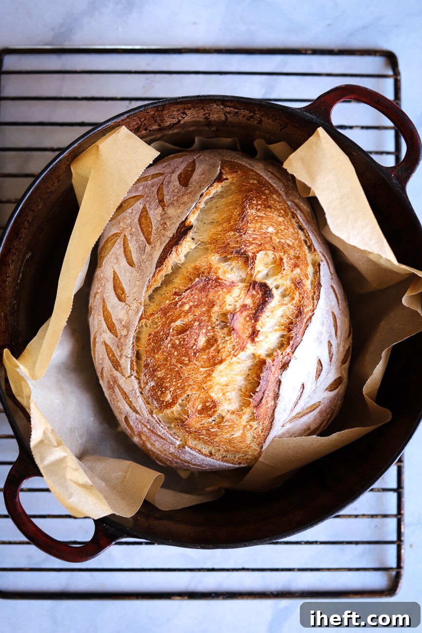 A beautiful sourdough scoring pattern on a batard with leaves before baking.