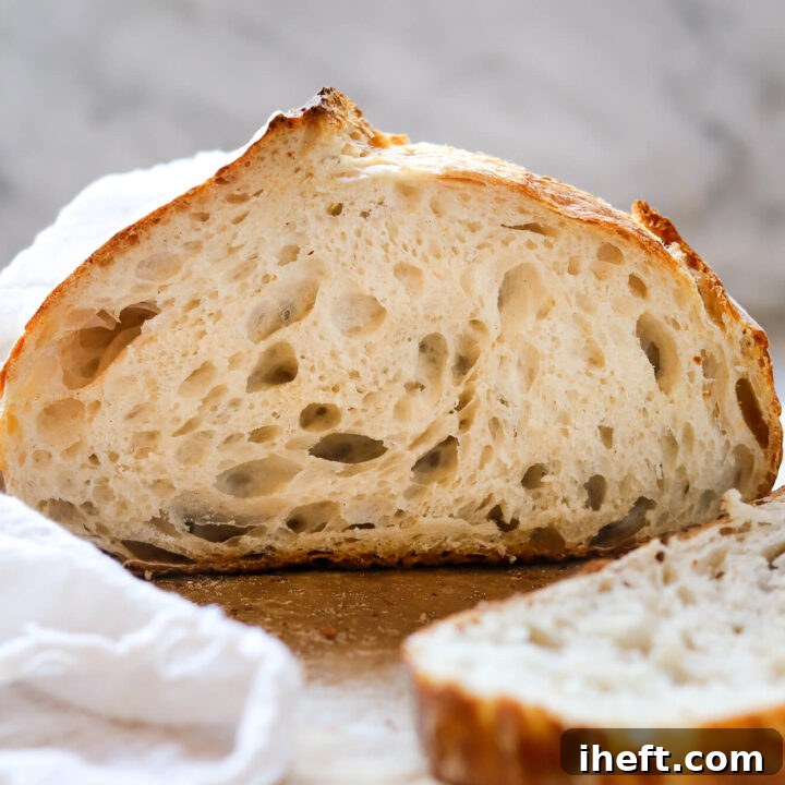 Half a loaf of homemade sourdough bread showing a lacy open crumb interior and crusty exterior. A perfect example of high hydration sourdough.