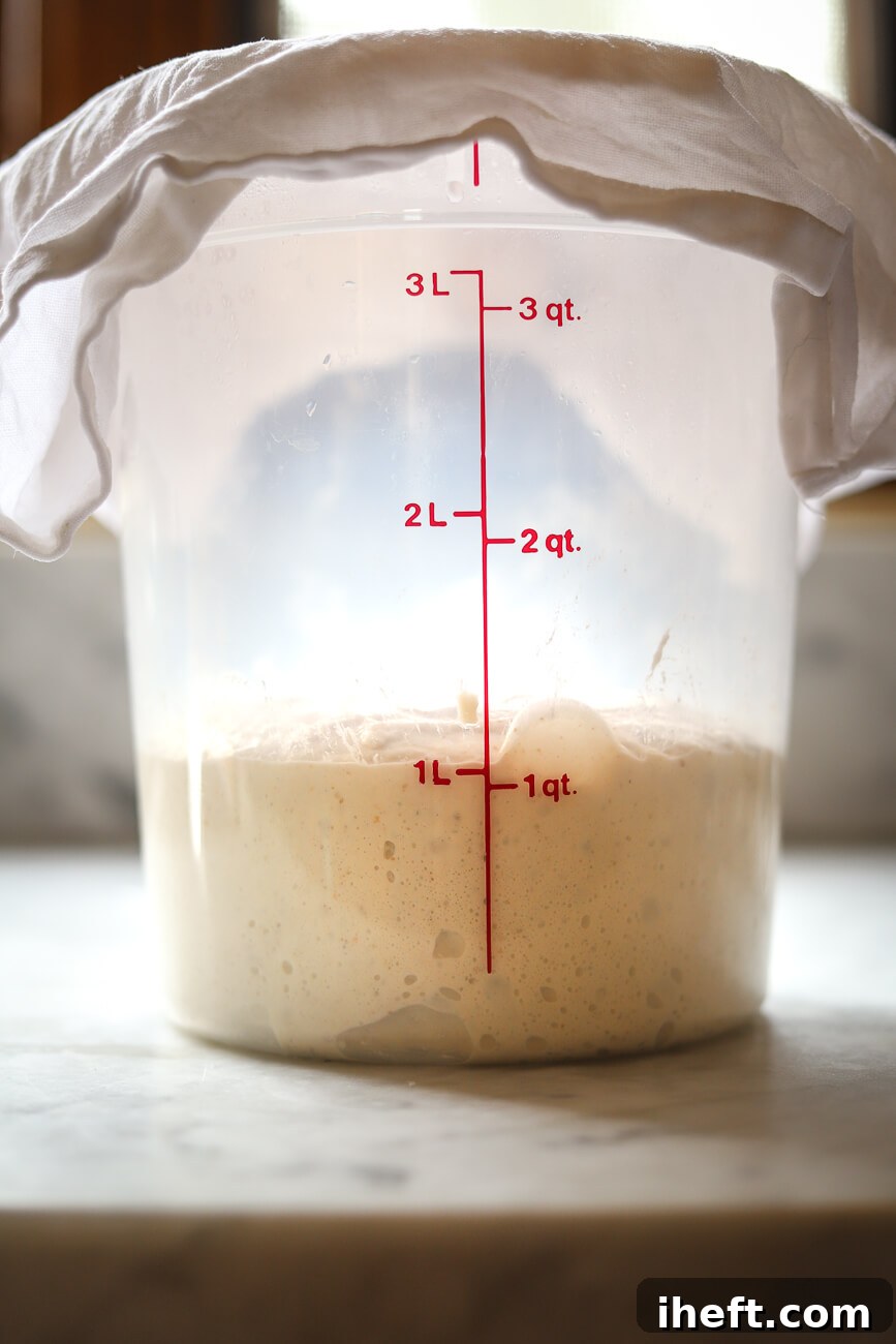 Sourdough dough undergoing stretch-and-folds in a clear container.