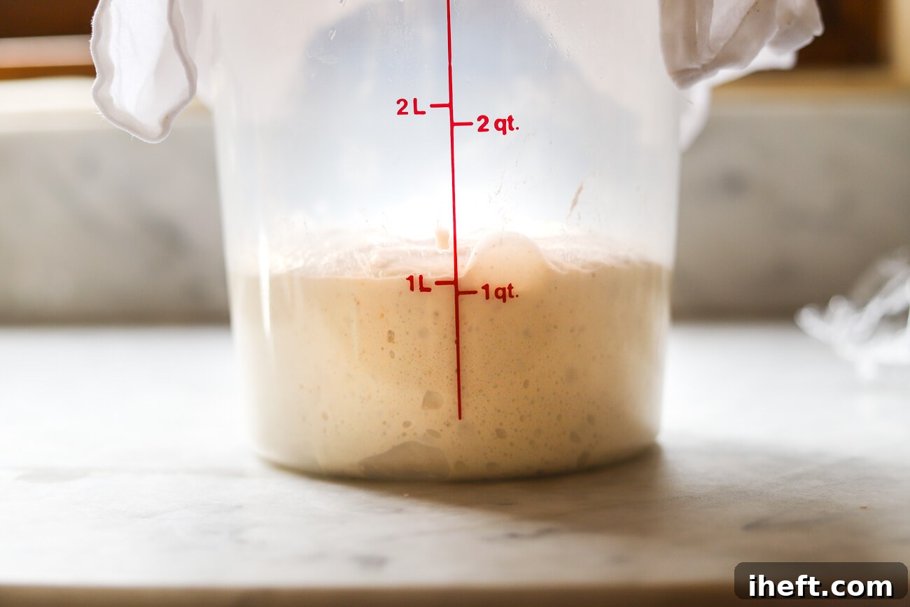 Sourdough bulk rise container.