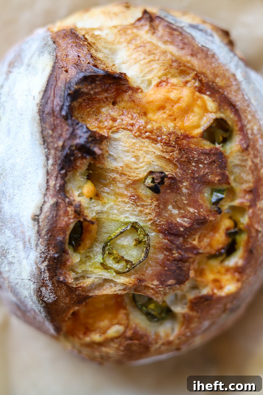 An overhead photo of a homemade jalapeno cheddar sourdough boule with a crusty exterior. 