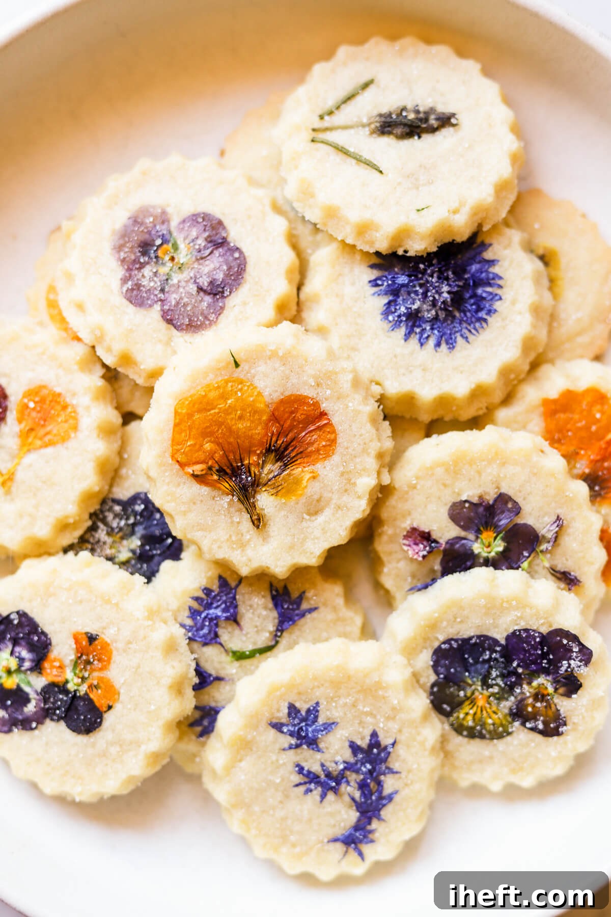 A close-up of a pressed edible flower cookie on a white plate. These beautiful round shortbread cookies are topped with pressed violas, bachelor's buttons, lavender, and nasturtiums.
