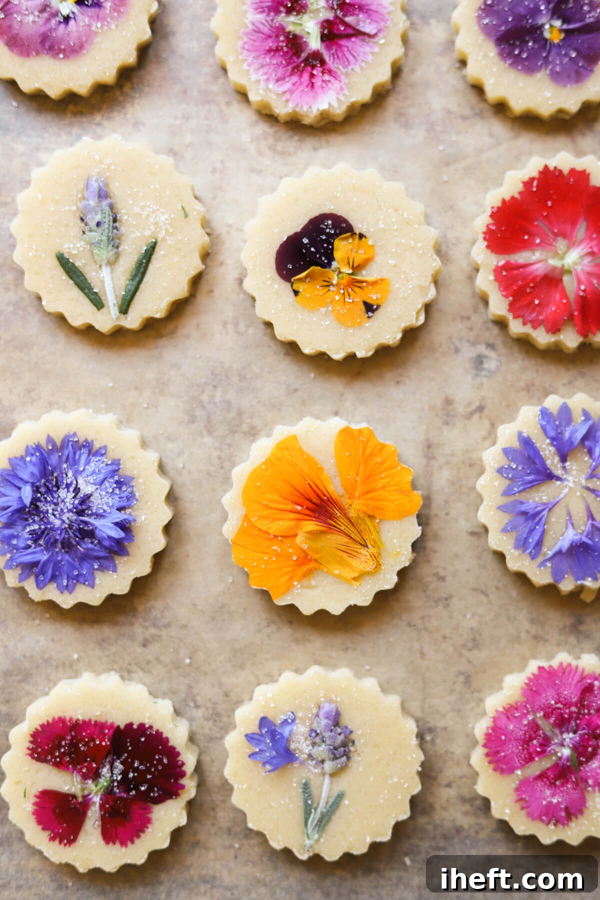 Unbaked round shortbread cookies topped with edible flowers on a baking sheet.