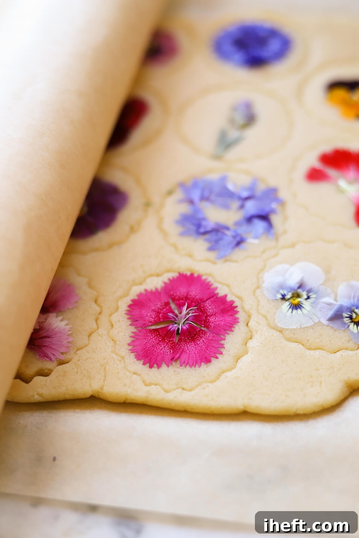 Shortbread cookie dough topped with edible flowers between two pieces of parchment paper to help press the flowers into the dough.