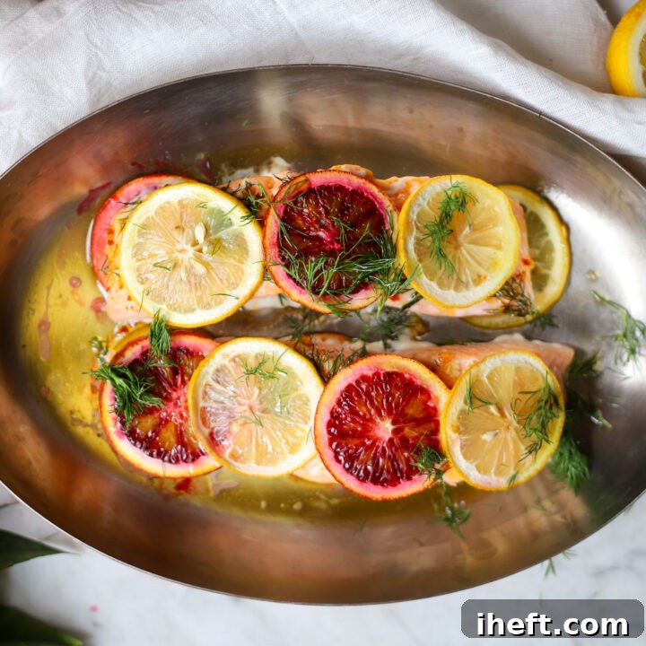 Two filets of citrus baked salmon in an oval copper baking dish. Salmon filets are topped with lemon and blood orange slices and garnished with fresh dill.
