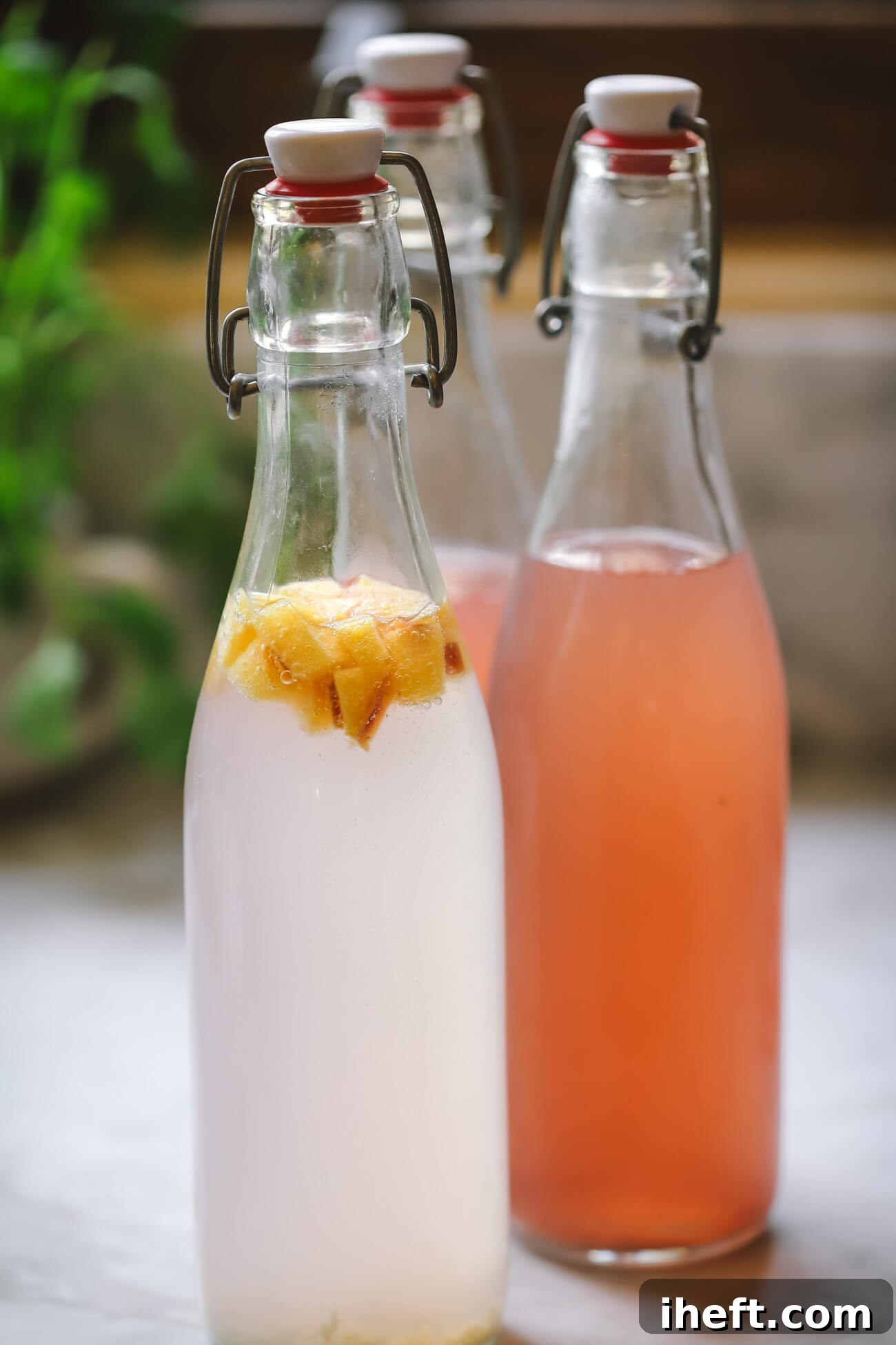Flavored water kefir in swing top bottles. One is pink and the other is coconut water with diced peaches.