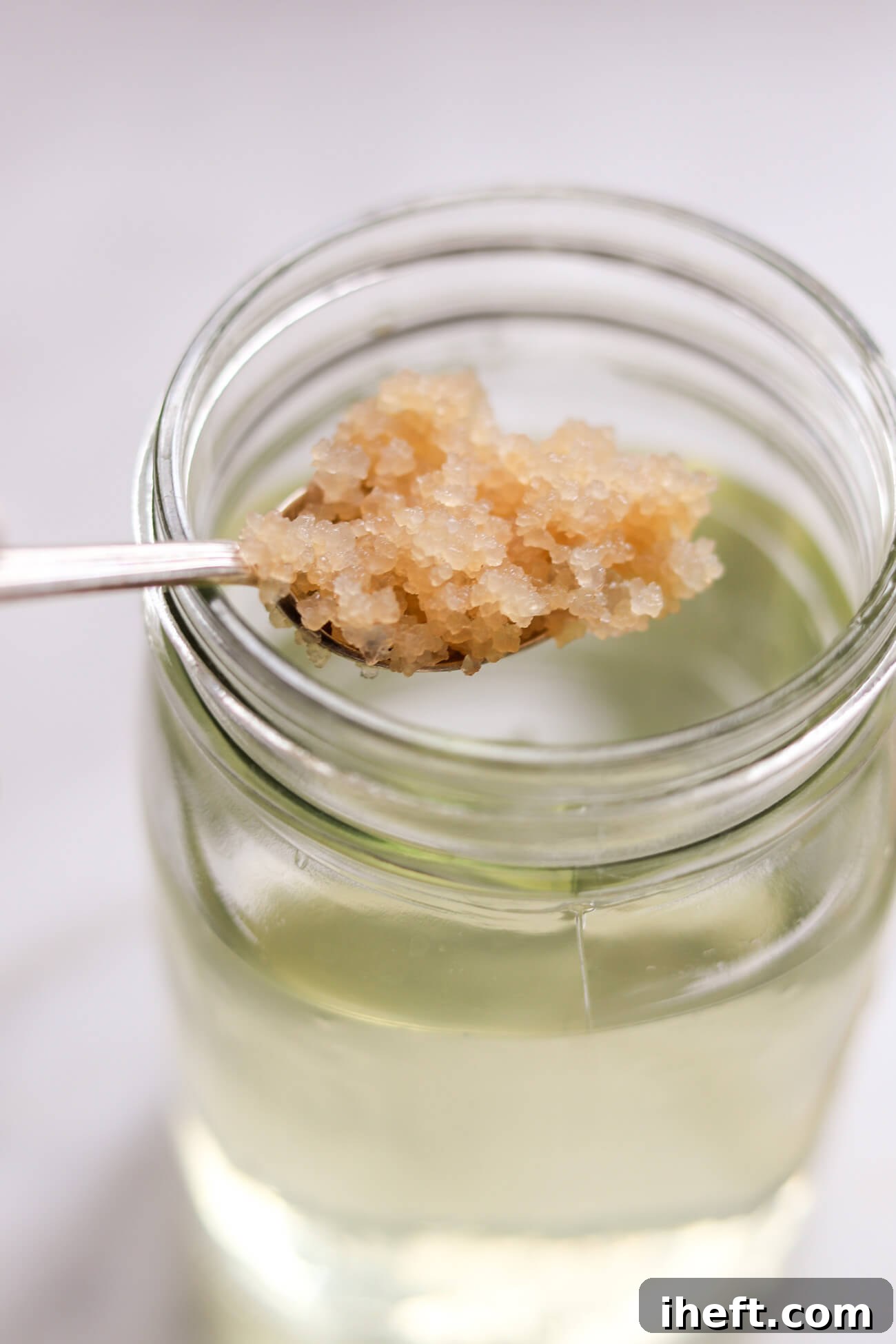 Water kefir grains are spooned into a quart sized jar filled with sugar water to begin making water kefir