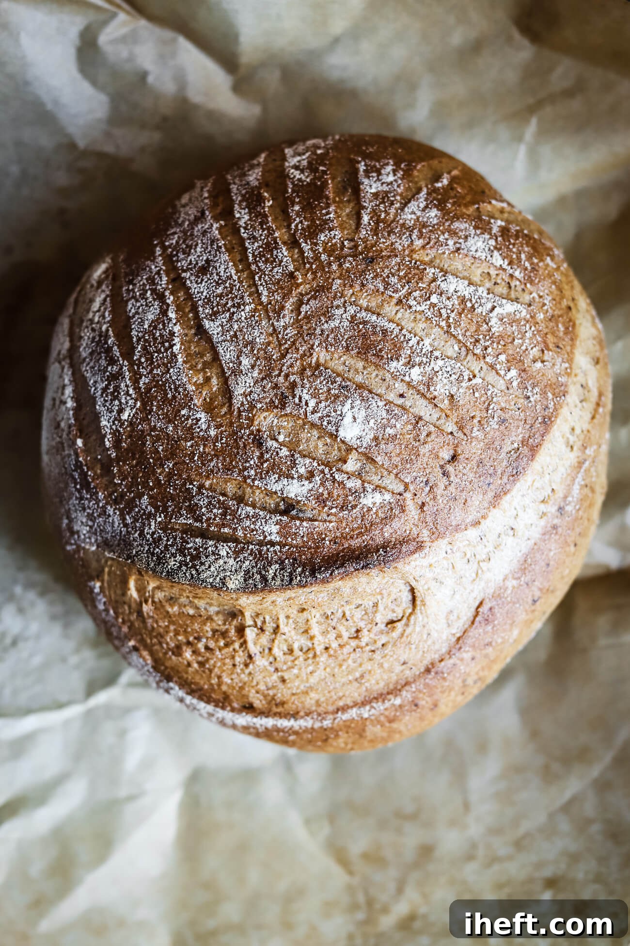 An overhead photo of a freshly baked gluten free sourdough bread boule on parchment paper. 