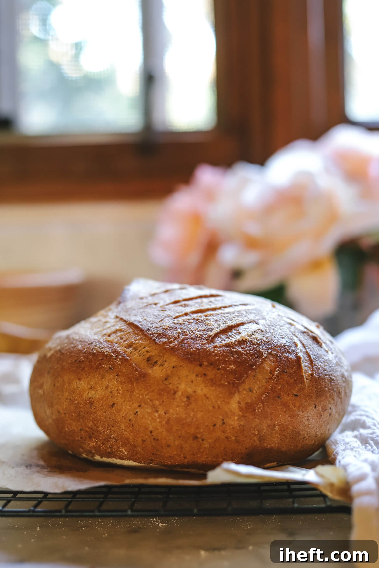 gluten-free sourdough boule on a parchment paper on a cooling rack in a white kitchen.