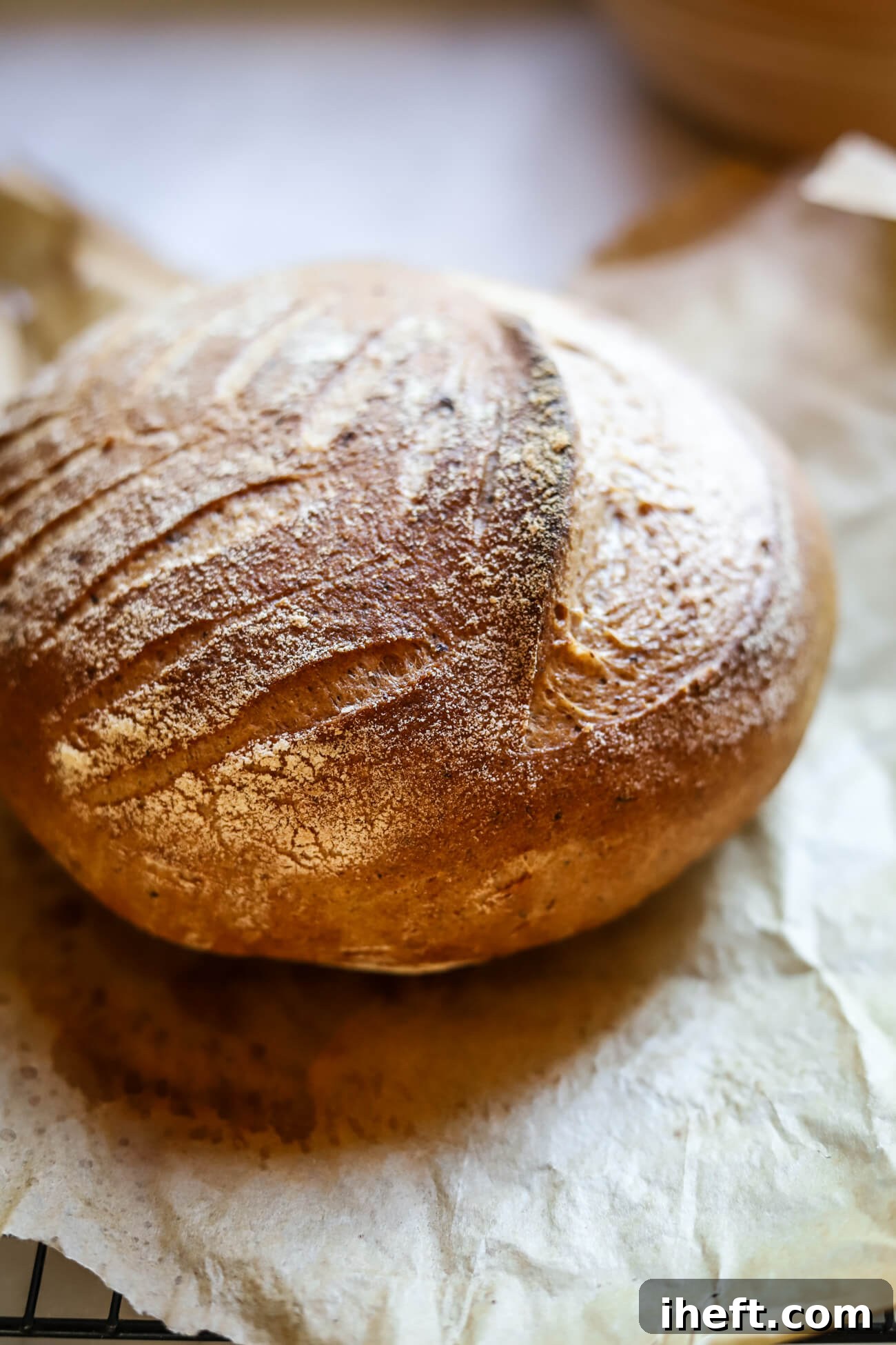 A freshly baked artisan crusty boule cools on a piece of parchment paper. 