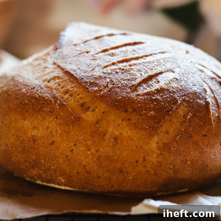 A beautiful gluten free sourdough bread boule cools on piece of parchment paper.