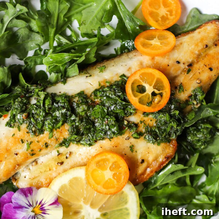 Pan-seared branzino fillet on arugula with gremolata sauce.