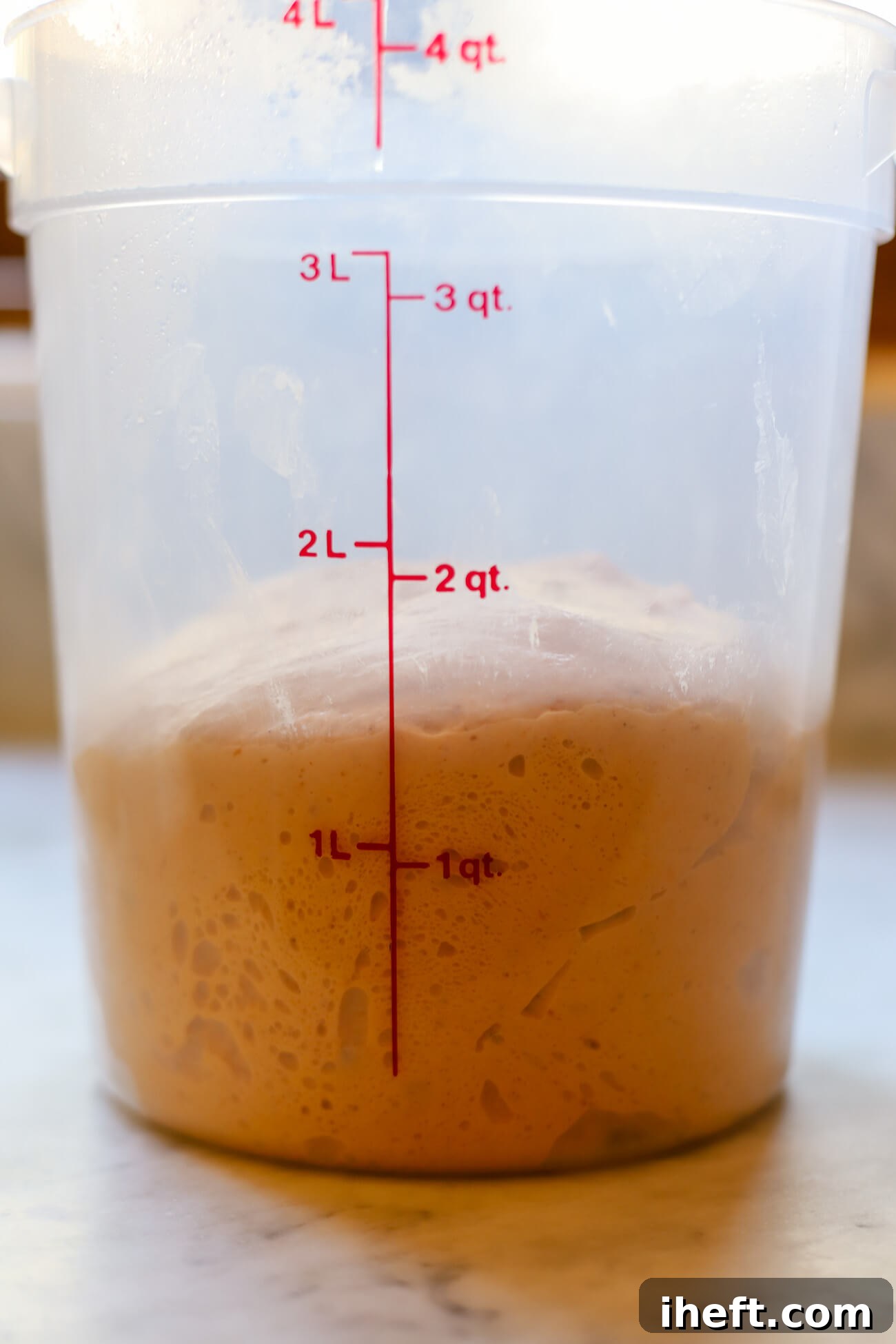 Pumpkin sourdough bread dough in a straight sided container at the end of its bulk rise.
