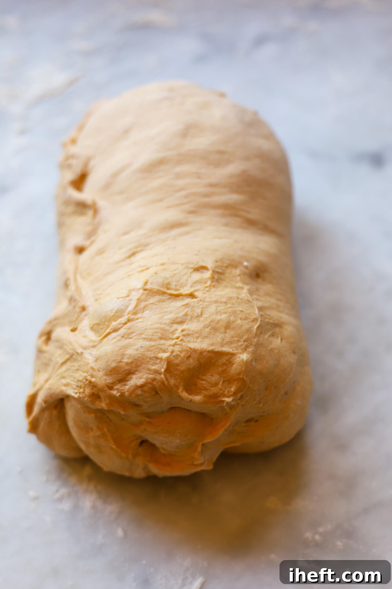 Pumpkin sourdough bread dough shaped into a log.