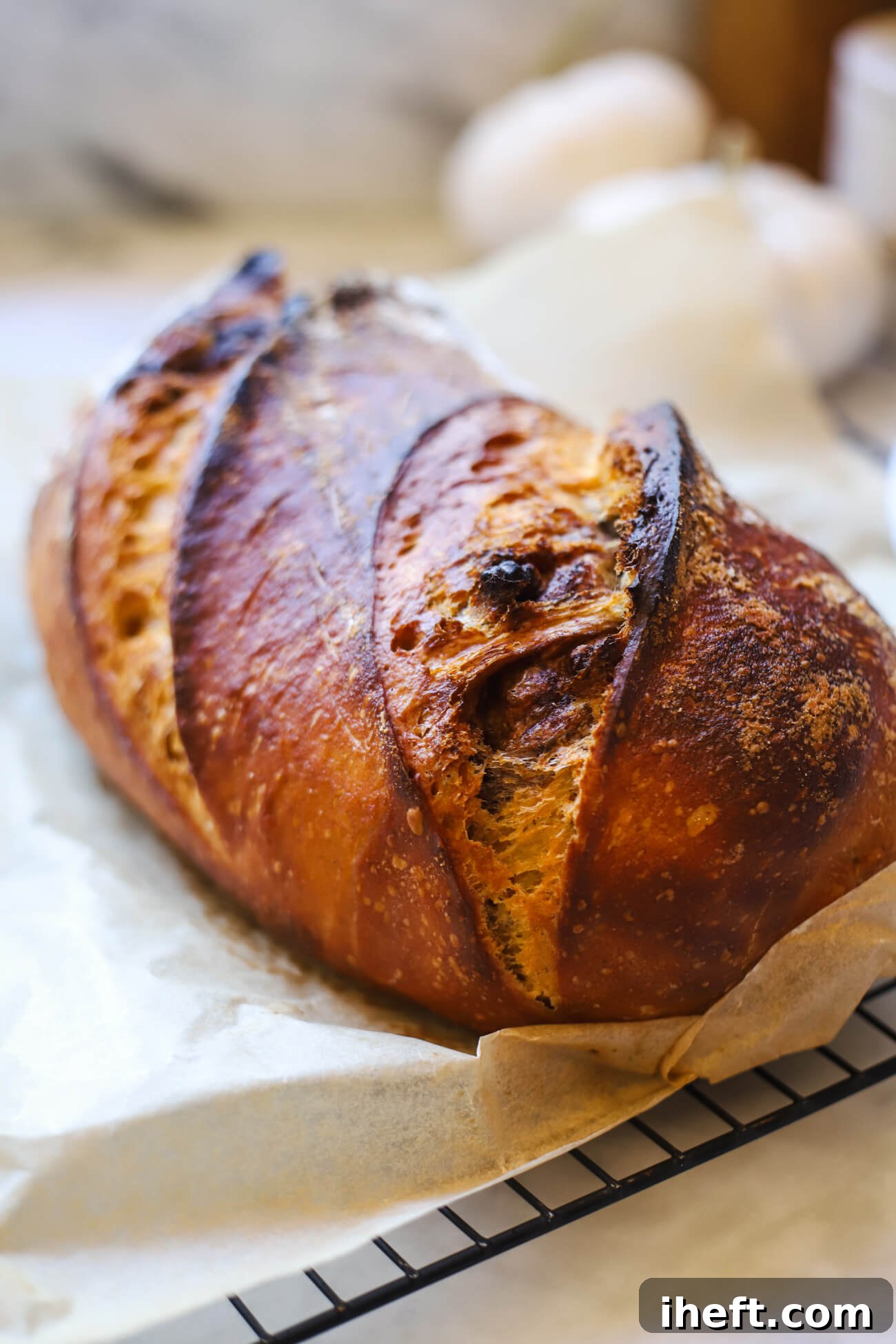 Freshly baked pumpkin sourdough bread loaf cooling on a rack after baking