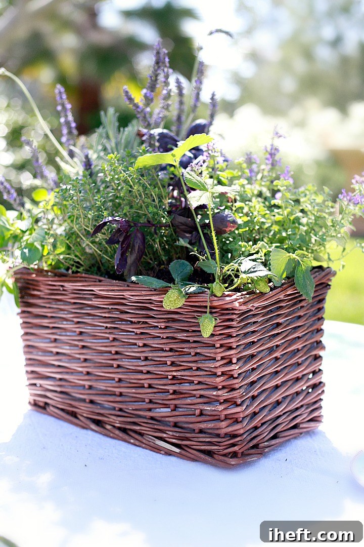 Beautiful DIY kitchen herb garden centerpiece.