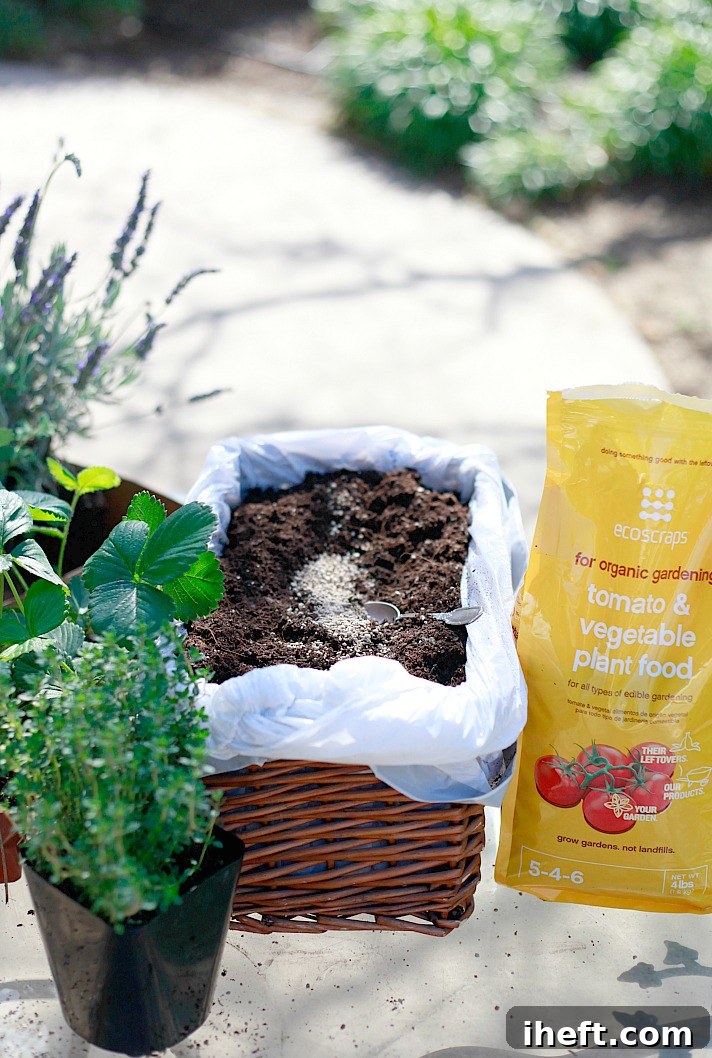 Making a kitchen herb garden