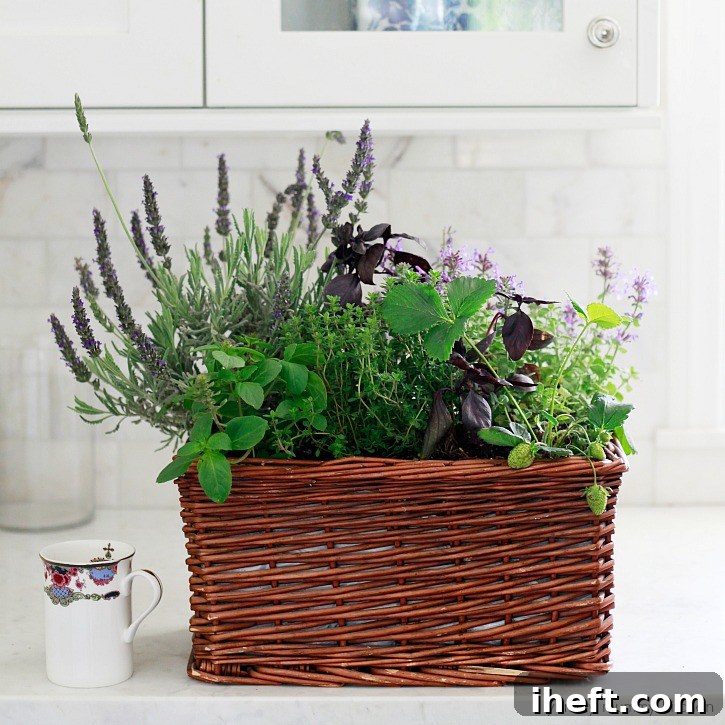 How to make a beautiful kitchen window herb garden