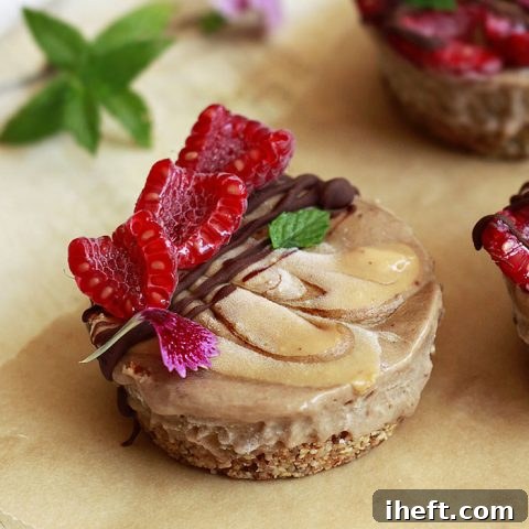 Protein Nice Cream Pies with Chocolate and Peanut Butter