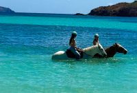 Mustique Island Insider Guide to the Private Caribbean Escape