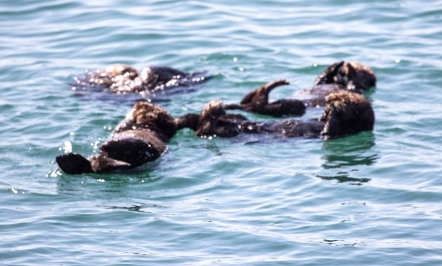 featured 59517