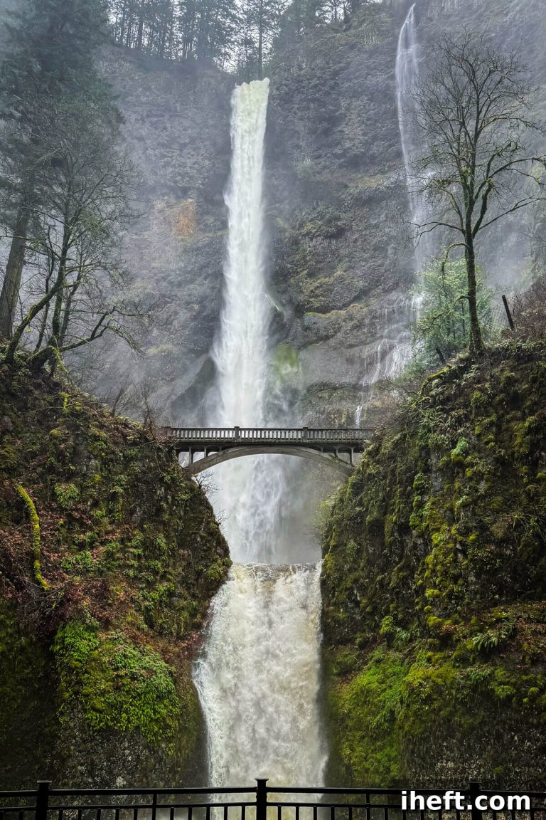 Portland to Columbia River Gorge: Waterfall Road Trip