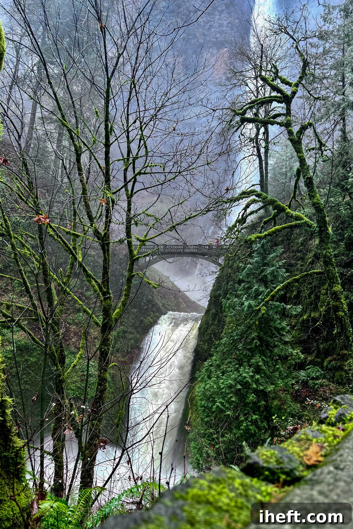 A dramatic view of Multnomah Falls in Oregon through the trees.